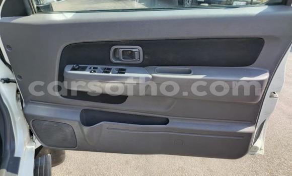 اشتري مستعمل Nissan NP 300 White سيارة في Maseru في Maseru اشتري مستعمل Nissan NP 300 White سيارة في Maseru في Maseru