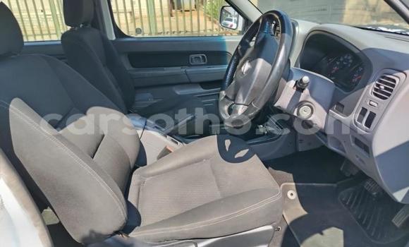 اشتري مستعمل Nissan NP 300 White سيارة في Maseru في Maseru اشتري مستعمل Nissan NP 300 White سيارة في Maseru في Maseru