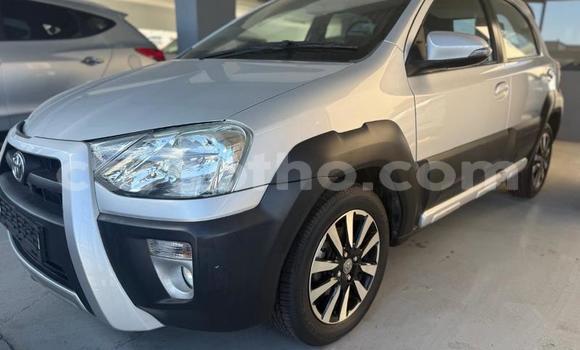 Buy Used Toyota Etios Silver Car in Maseru in Maseru