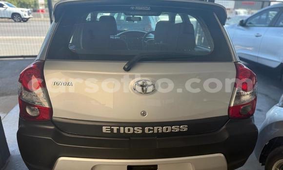 اشتري مستعمل Toyota Etios Silver سيارة في Maseru في Maseru اشتري مستعمل Toyota Etios Silver سيارة في Maseru في Maseru