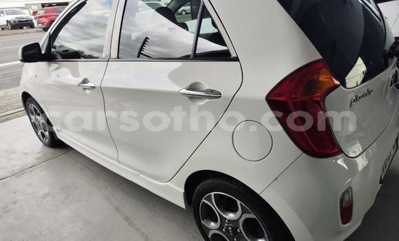 اشتري مستعمل Kia Picanto White سيارة في Maseru في Maseru اشتري مستعمل Kia Picanto White سيارة في Maseru في Maseru