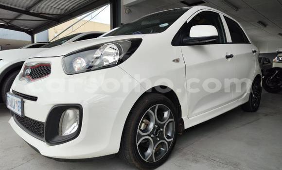 اشتري مستعمل Kia Picanto White سيارة في Maseru في Maseru اشتري مستعمل Kia Picanto White سيارة في Maseru في Maseru