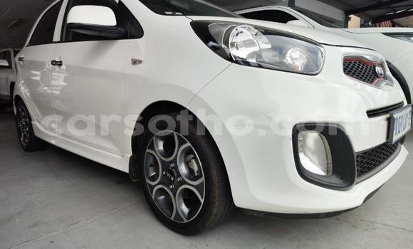 اشتري مستعمل Kia Picanto White سيارة في Maseru في Maseru اشتري مستعمل Kia Picanto White سيارة في Maseru في Maseru