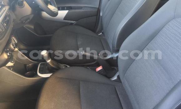 اشتري مستعمل Kia Picanto White سيارة في Maseru في Maseru اشتري مستعمل Kia Picanto White سيارة في Maseru في Maseru