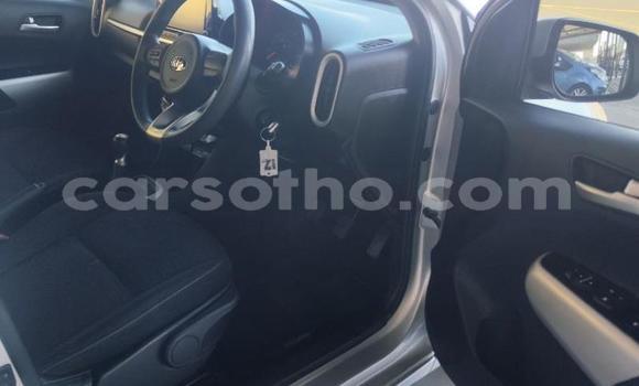 اشتري مستعمل Kia Picanto White سيارة في Maseru في Maseru اشتري مستعمل Kia Picanto White سيارة في Maseru في Maseru