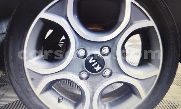 اشتري مستعمل Kia Picanto White سيارة في Maseru في Maseru اشتري مستعمل Kia Picanto White سيارة في Maseru في Maseru