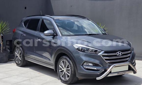 اشتري مستعمل Hyundai Tucson Other سيارة في Maseru في Maseru اشتري مستعمل Hyundai Tucson Other سيارة في Maseru في Maseru