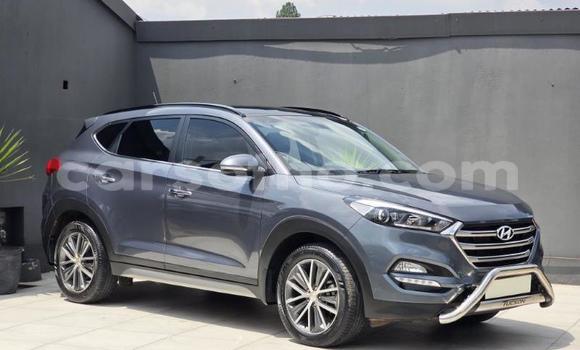اشتري مستعمل Hyundai Tucson Other سيارة في Maseru في Maseru اشتري مستعمل Hyundai Tucson Other سيارة في Maseru في Maseru