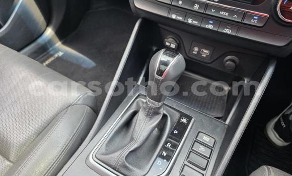 اشتري مستعمل Hyundai Tucson Other سيارة في Maseru في Maseru اشتري مستعمل Hyundai Tucson Other سيارة في Maseru في Maseru