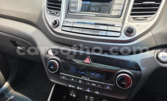 اشتري مستعمل Hyundai Tucson Other سيارة في Maseru في Maseru اشتري مستعمل Hyundai Tucson Other سيارة في Maseru في Maseru