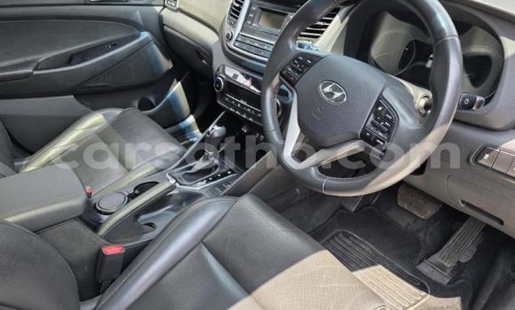 اشتري مستعمل Hyundai Tucson Other سيارة في Maseru في Maseru اشتري مستعمل Hyundai Tucson Other سيارة في Maseru في Maseru