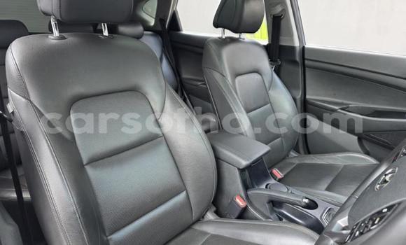 اشتري مستعمل Hyundai Tucson Other سيارة في Maseru في Maseru اشتري مستعمل Hyundai Tucson Other سيارة في Maseru في Maseru