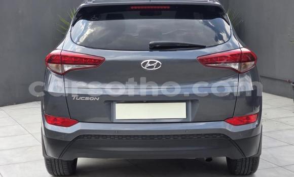 اشتري مستعمل Hyundai Tucson Other سيارة في Maseru في Maseru اشتري مستعمل Hyundai Tucson Other سيارة في Maseru في Maseru