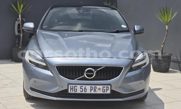 Buy Used Volvo V40 Other Car in Maseru in Maseru