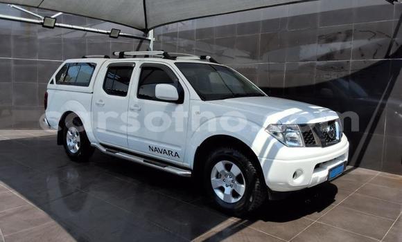 Buy Used Nissan Navara White Car in Maseru in Maseru Buy Used Nissan Navara White Car in Maseru in Maseru