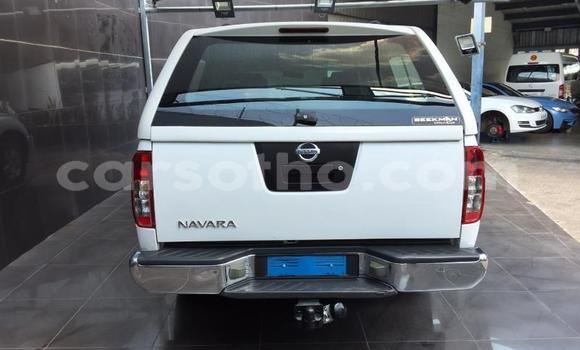 Buy Used Nissan Navara White Car in Maseru in Maseru Buy Used Nissan Navara White Car in Maseru in Maseru