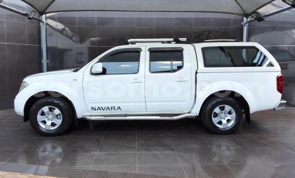 Buy Used Nissan Navara White Car in Maseru in Maseru Buy Used Nissan Navara White Car in Maseru in Maseru