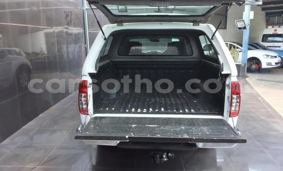Buy Used Nissan Navara White Car in Maseru in Maseru Buy Used Nissan Navara White Car in Maseru in Maseru