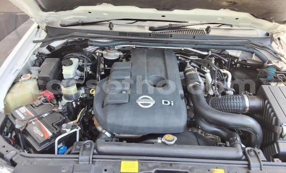 Buy Used Nissan Navara White Car in Maseru in Maseru Buy Used Nissan Navara White Car in Maseru in Maseru