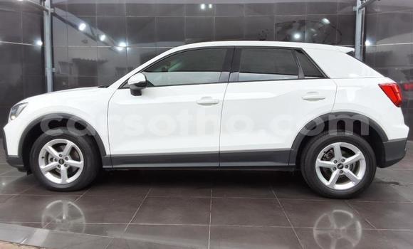 Buy Used Audi Q2 White Car in Maseru in Maseru Buy Used Audi Q2 White Car in Maseru in Maseru