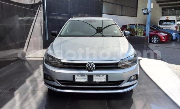 Buy Used Volkswagen Polo Silver Car in Maseru in Maseru