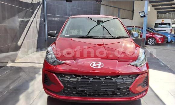 Buy Used Hyundai i10 Red Car in Maseru in Maseru