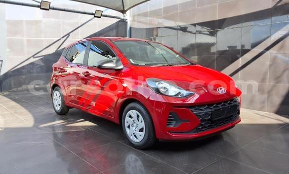 Buy Used Hyundai i10 Red Car in Maseru in Maseru Buy Used Hyundai i10 Red Car in Maseru in Maseru