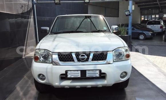 Buy Used Nissan Hardbody White Car in Maseru in Maseru