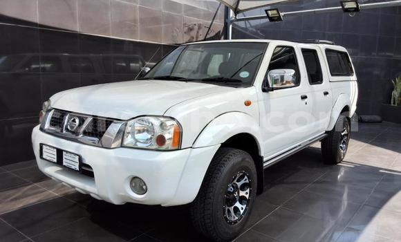 Buy Used Nissan Hardbody White Car in Maseru in Maseru Buy Used Nissan Hardbody White Car in Maseru in Maseru