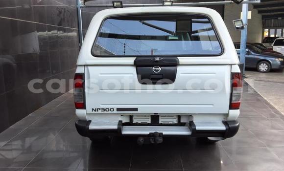 Buy Used Nissan Hardbody White Car in Maseru in Maseru Buy Used Nissan Hardbody White Car in Maseru in Maseru