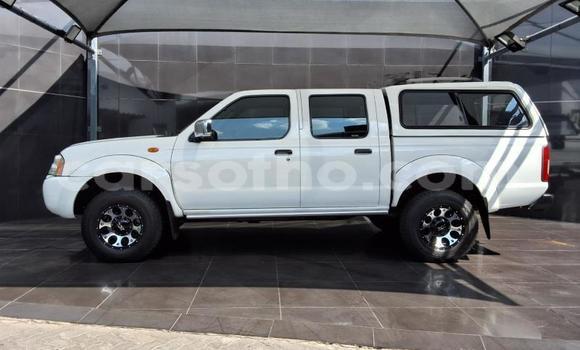 Buy Used Nissan Hardbody White Car in Maseru in Maseru Buy Used Nissan Hardbody White Car in Maseru in Maseru