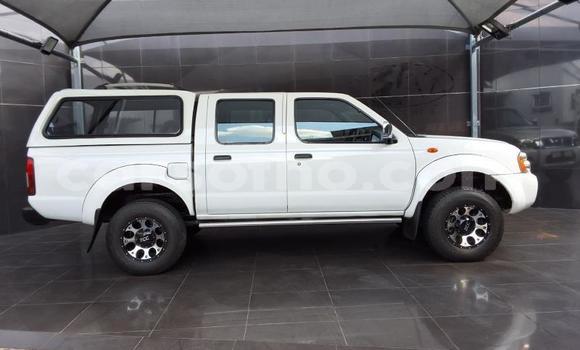 Buy Used Nissan Hardbody White Car in Maseru in Maseru Buy Used Nissan Hardbody White Car in Maseru in Maseru