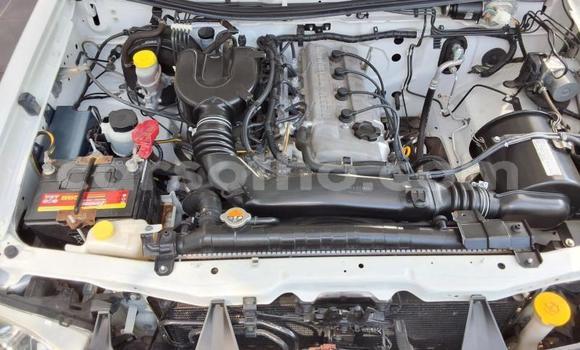 Buy Used Nissan Hardbody White Car in Maseru in Maseru Buy Used Nissan Hardbody White Car in Maseru in Maseru