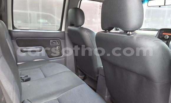 Buy Used Nissan Hardbody White Car in Maseru in Maseru Buy Used Nissan Hardbody White Car in Maseru in Maseru