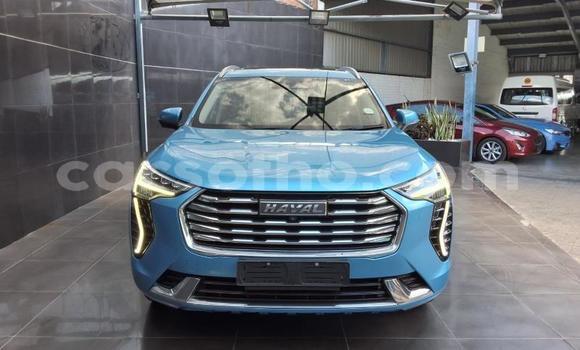 Buy Used Haval H2 Blue Car in Maseru in Maseru