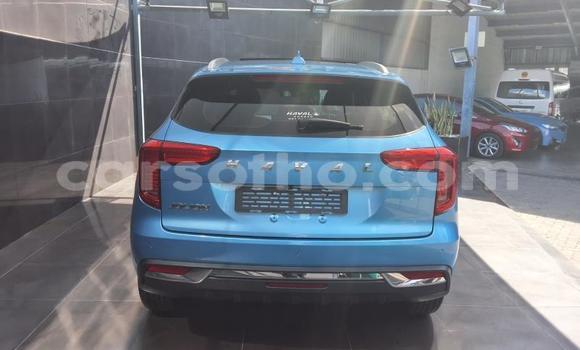 Buy Used Haval H2 Blue Car in Maseru in Maseru Buy Used Haval H2 Blue Car in Maseru in Maseru