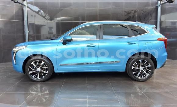 Buy Used Haval H2 Blue Car in Maseru in Maseru Buy Used Haval H2 Blue Car in Maseru in Maseru