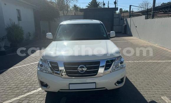 Buy Used Nissan Patrol White Car in Maseru in Maseru