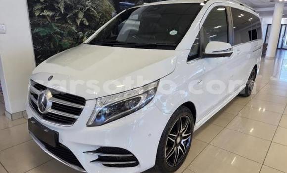 Buy Used Mercedes-Benz V-klasse White Car in Maseru in Maseru