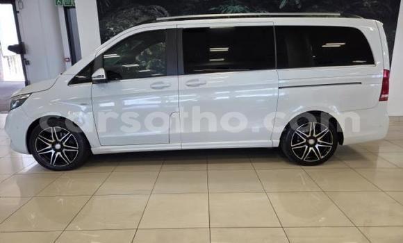 اشتري مستعمل Mercedes-Benz V-klasse White سيارة في Maseru في Maseru اشتري مستعمل Mercedes-Benz V-klasse White سيارة في Maseru في Maseru