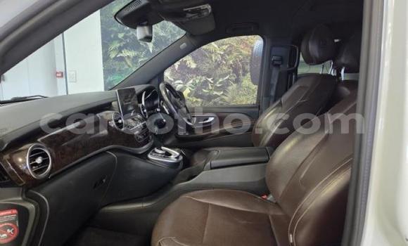 اشتري مستعمل Mercedes-Benz V-klasse White سيارة في Maseru في Maseru اشتري مستعمل Mercedes-Benz V-klasse White سيارة في Maseru في Maseru