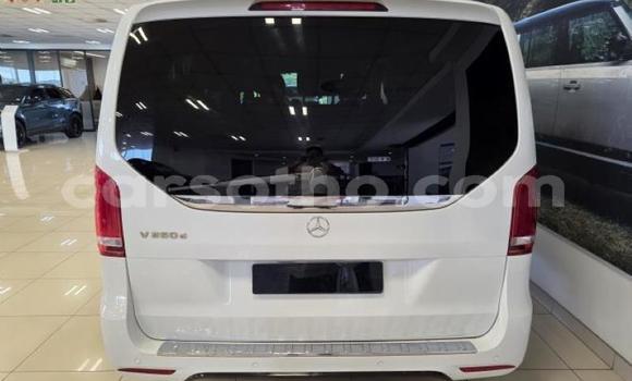 اشتري مستعمل Mercedes-Benz V-klasse White سيارة في Maseru في Maseru اشتري مستعمل Mercedes-Benz V-klasse White سيارة في Maseru في Maseru