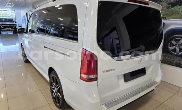 اشتري مستعمل Mercedes-Benz V-klasse White سيارة في Maseru في Maseru اشتري مستعمل Mercedes-Benz V-klasse White سيارة في Maseru في Maseru
