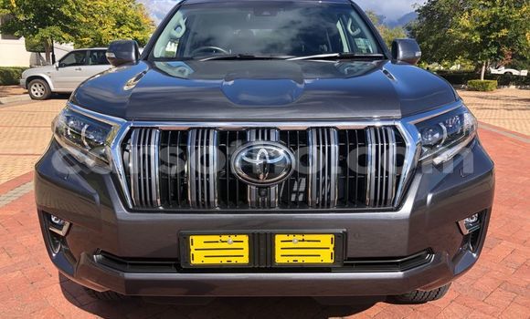 اشتري مستعمل Toyota Land Cruiser Prado Other سيارة في Maseru في Maseru اشتري مستعمل Toyota Land Cruiser Prado Other سيارة في Maseru في Maseru