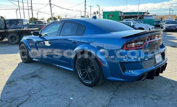 اشتري مستعمل Dodge Charger Blue سيارة في Maseru في Maseru اشتري مستعمل Dodge Charger Blue سيارة في Maseru في Maseru