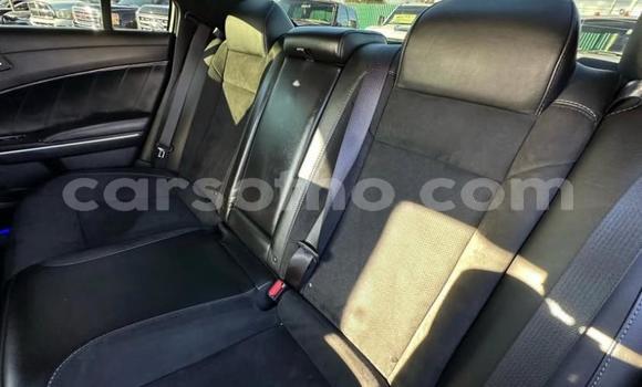 اشتري مستعمل Dodge Charger Blue سيارة في Maseru في Maseru اشتري مستعمل Dodge Charger Blue سيارة في Maseru في Maseru