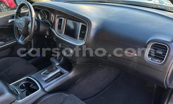 اشتري مستعمل Dodge Charger Blue سيارة في Maseru في Maseru اشتري مستعمل Dodge Charger Blue سيارة في Maseru في Maseru