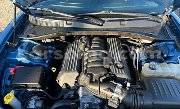 اشتري مستعمل Dodge Charger Blue سيارة في Maseru في Maseru اشتري مستعمل Dodge Charger Blue سيارة في Maseru في Maseru