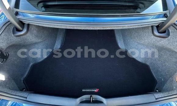 اشتري مستعمل Dodge Charger Blue سيارة في Maseru في Maseru اشتري مستعمل Dodge Charger Blue سيارة في Maseru في Maseru