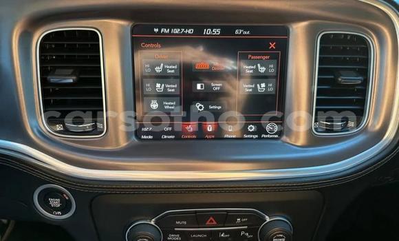 اشتري مستعمل Dodge Charger Blue سيارة في Maseru في Maseru اشتري مستعمل Dodge Charger Blue سيارة في Maseru في Maseru